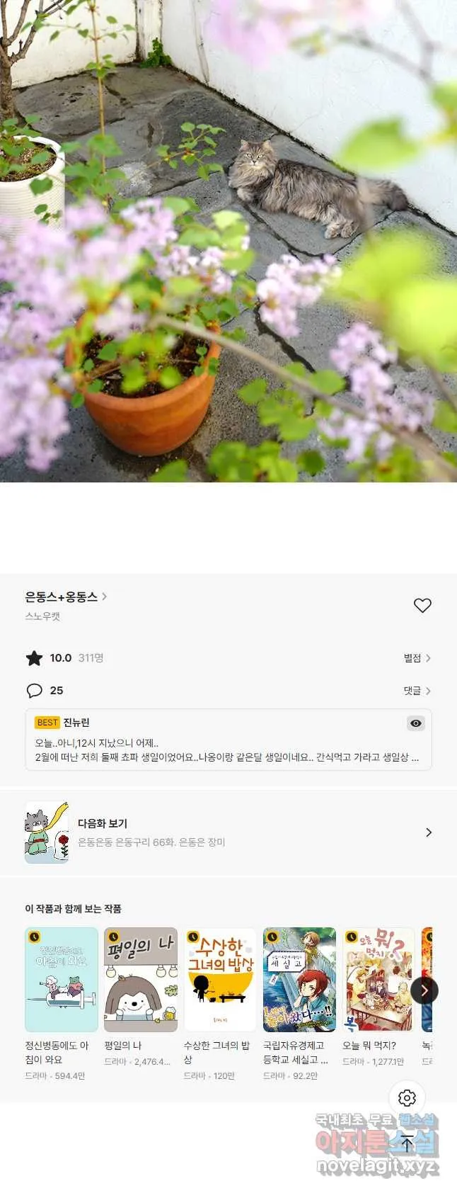 Webtoon Image